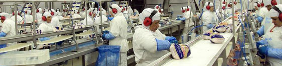 常見(jiàn)問(wèn)題