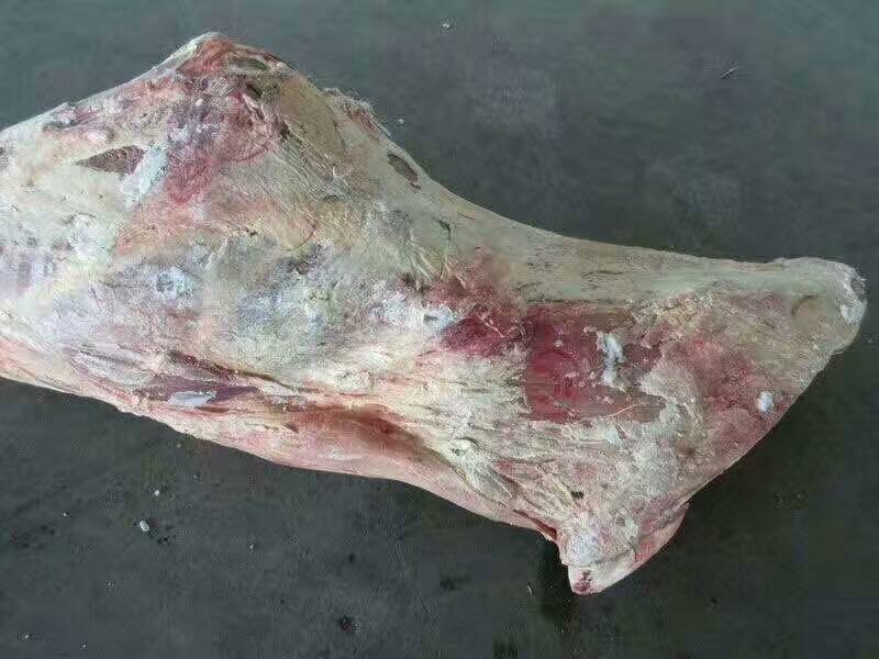 智利牛四分體之牛肉為什么會變黑